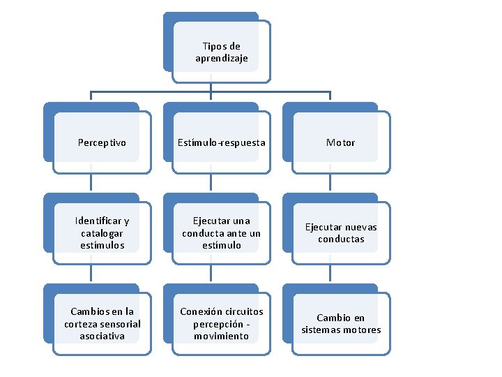 Tipos de aprendizaje Perceptivo Estímulo-respuesta Motor Identificar y catalogar estímulos Ejecutar una conducta ante