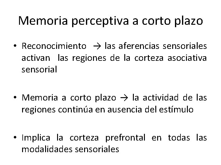 Memoria perceptiva a corto plazo • Reconocimiento → las aferencias sensoriales activan las regiones