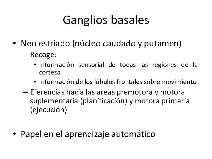 Ganglios basales • Neo estriado (núcleo caudado y putamen) – Recoge: • Información sensorial