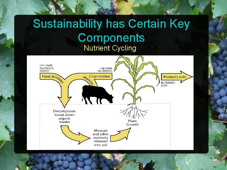 Sustainability has Certain Key Components Nutrient Cycling 