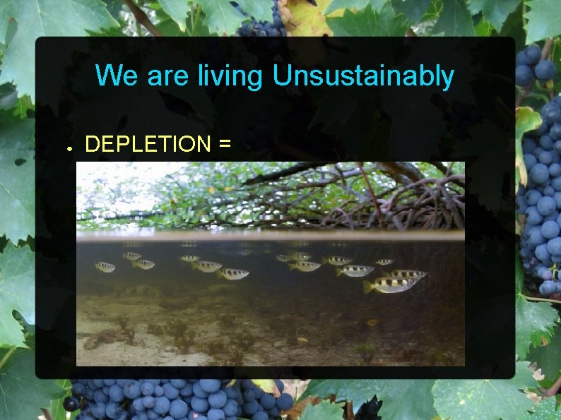 We are living Unsustainably ● DEPLETION = 