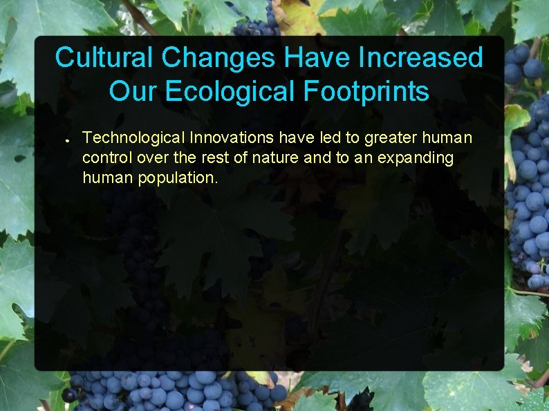 Cultural Changes Have Increased Our Ecological Footprints ● Technological Innovations have led to greater