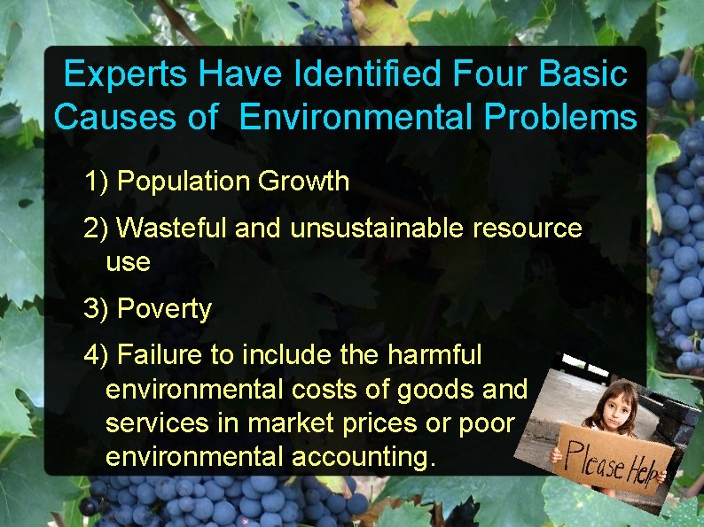 Experts Have Identified Four Basic Causes of Environmental Problems 1) Population Growth 2) Wasteful
