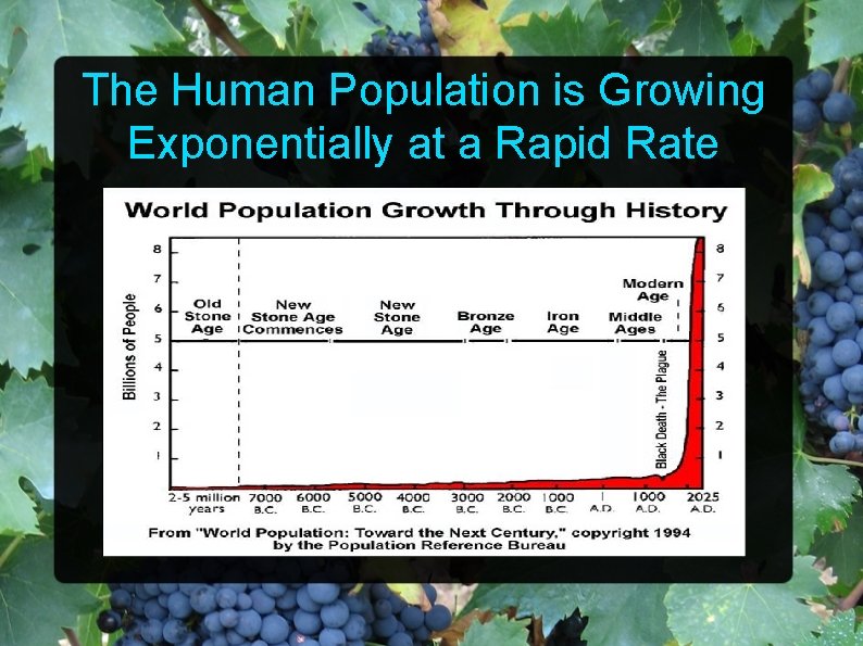 The Human Population is Growing Exponentially at a Rapid Rate 