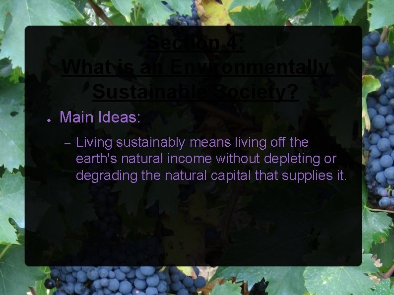 Section 4: What is an Environmentally Sustainable Society? ● Main Ideas: – Living sustainably