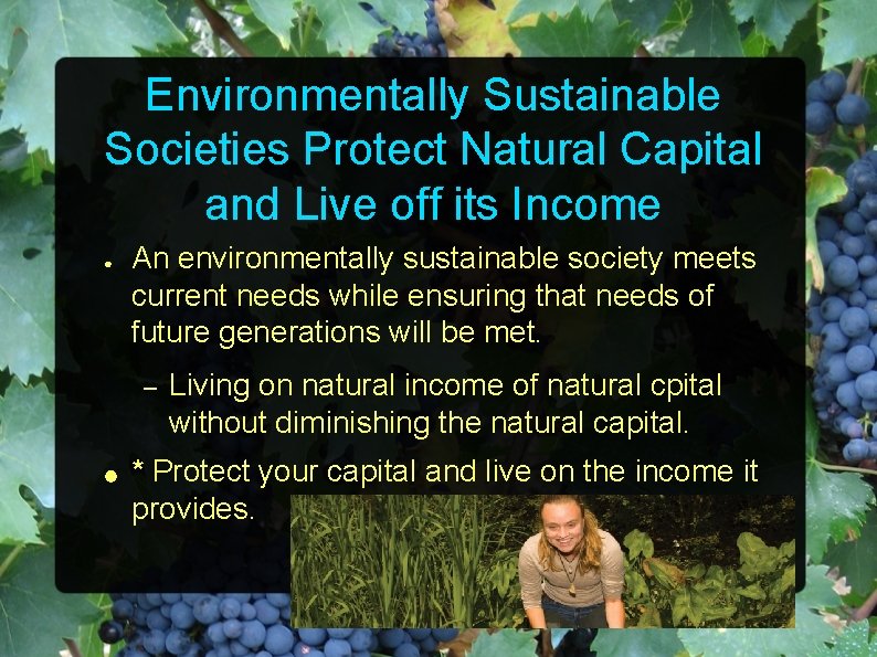 Environmentally Sustainable Societies Protect Natural Capital and Live off its Income ● An environmentally