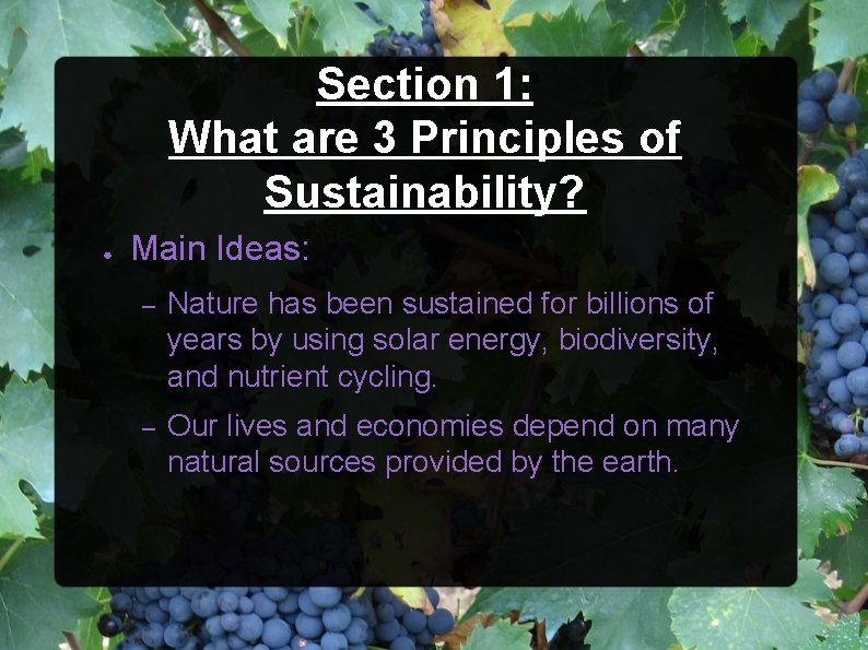 Section 1: What are 3 Principles of Sustainability? ● Main Ideas: – Nature has