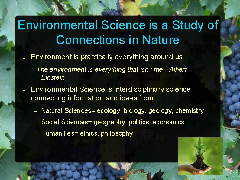 Environmental Science is a Study of Connections in Nature ● Environment is practically everything