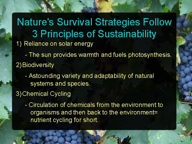 Nature's Survival Strategies Follow 3 Principles of Sustainability 1) Reliance on solar energy -