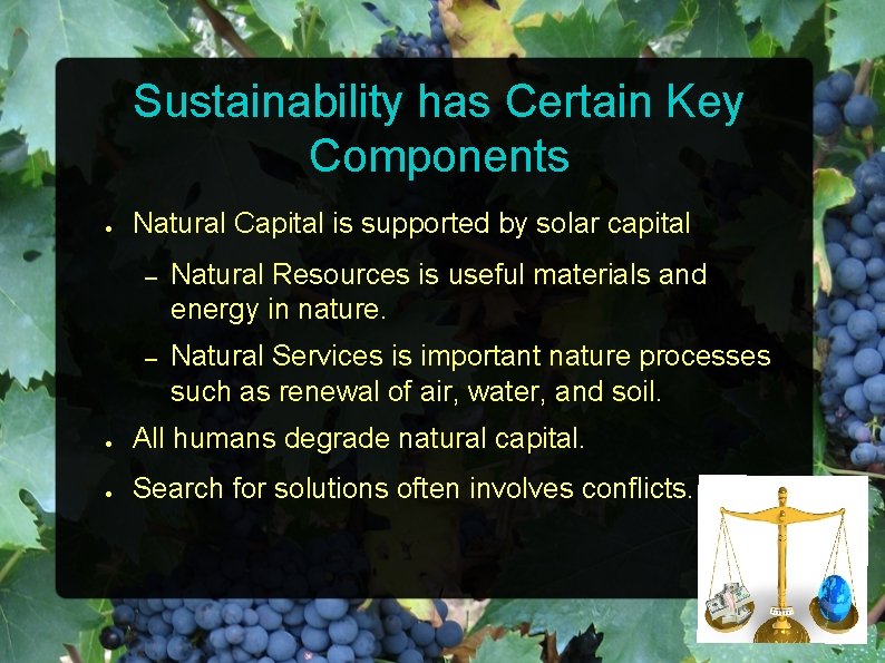 Sustainability has Certain Key Components ● Natural Capital is supported by solar capital –
