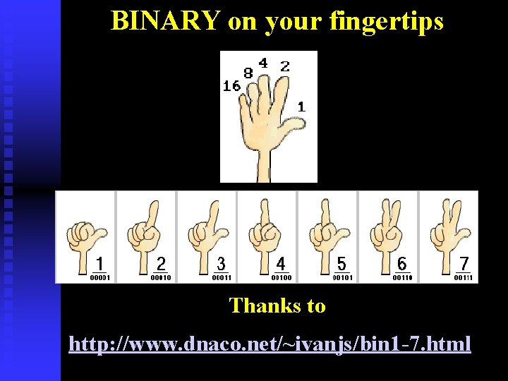 BINARY on your fingertips Thanks to http: //www. dnaco. net/~ivanjs/bin 1 -7. html 