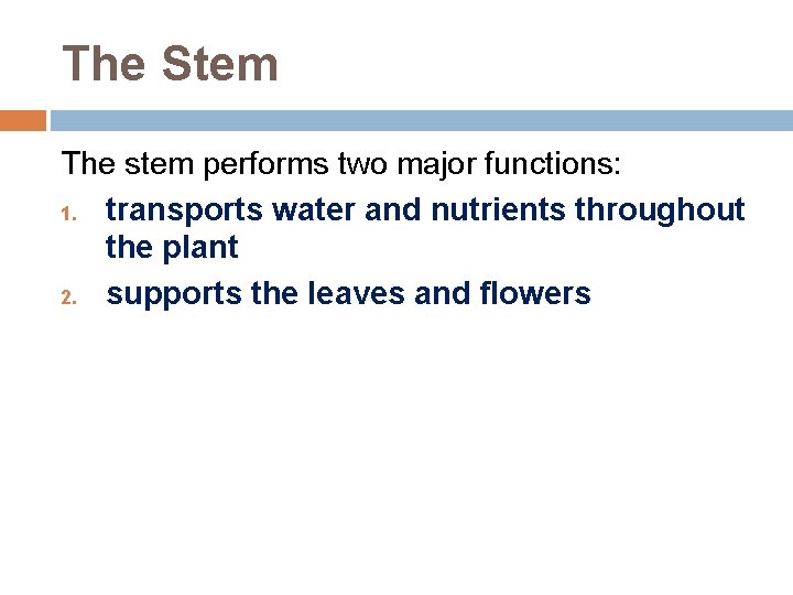 The Stem The stem performs two major functions: 1. transports water and nutrients throughout