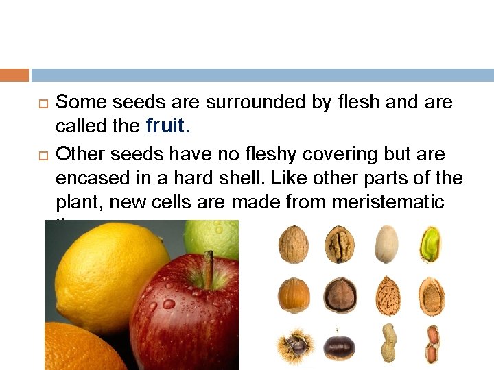  Some seeds are surrounded by flesh and are called the fruit. Other seeds