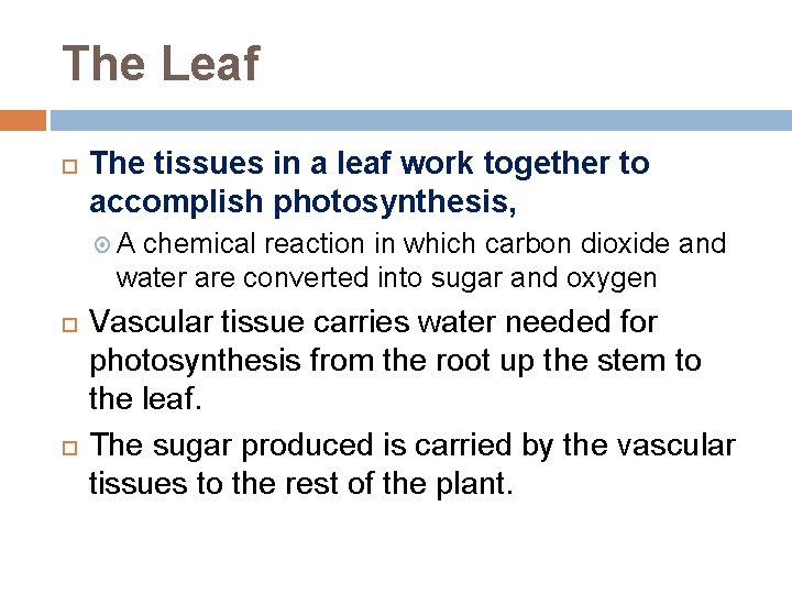 The Leaf The tissues in a leaf work together to accomplish photosynthesis, A chemical