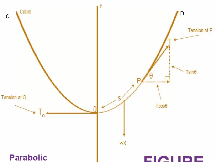 C Parabolic D 