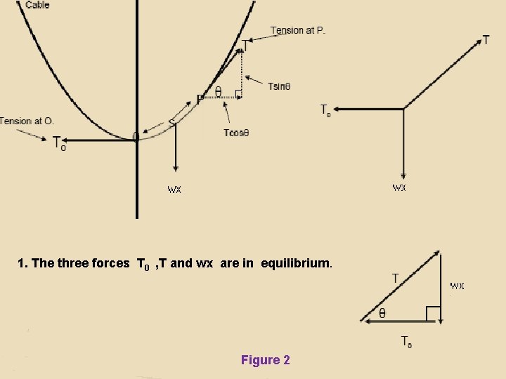1. The three forces T 0 , T and wx are in equilibrium. Figure