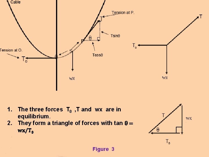 1. The three forces T 0 , T and wx are in equilibrium. 2.