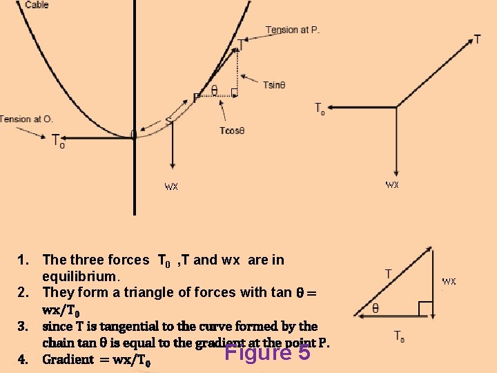 1. The three forces T 0 , T and wx are in equilibrium. 2.