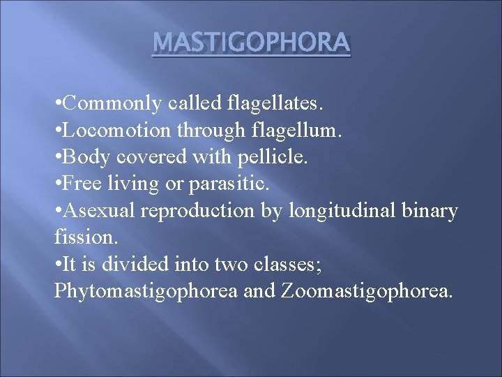 MASTIGOPHORA • Commonly called flagellates. • Locomotion through flagellum. • Body covered with pellicle.