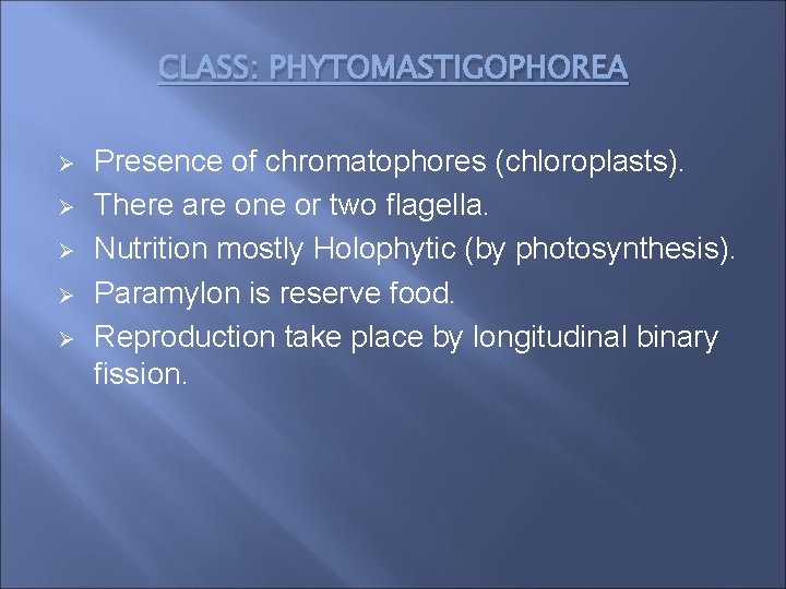 CLASS: PHYTOMASTIGOPHOREA Ø Ø Ø Presence of chromatophores (chloroplasts). There are one or two