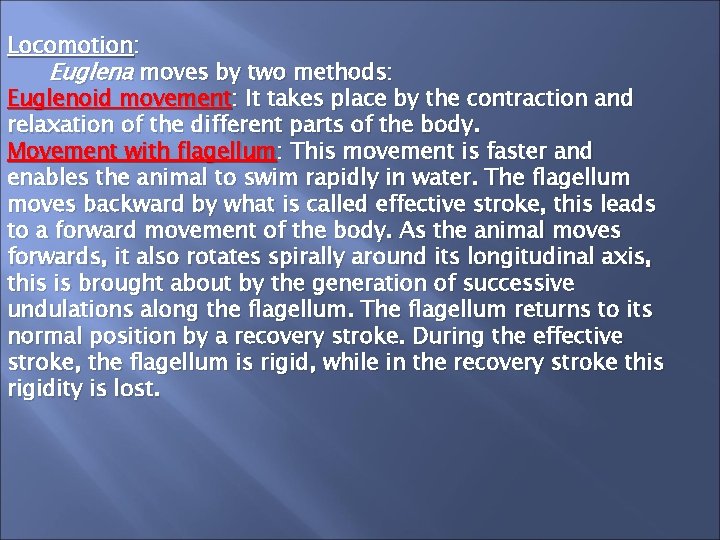 Locomotion: Euglena moves by two methods: Euglenoid movement: It takes place by the contraction