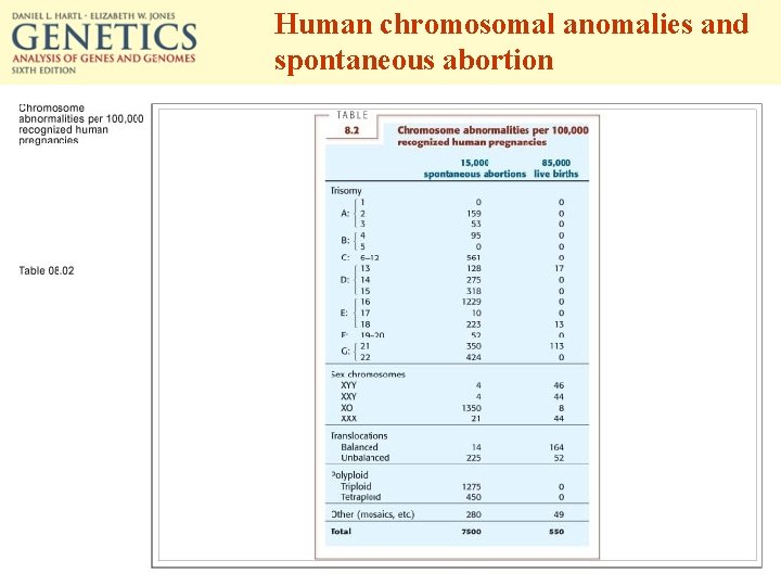 Human chromosomal anomalies and spontaneous abortion 