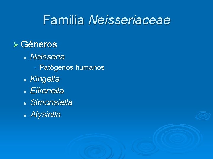 Familia Neisseriaceae Ø Géneros l Neisseria • Patógenos humanos l l Kingella Eikenella Simonsiella