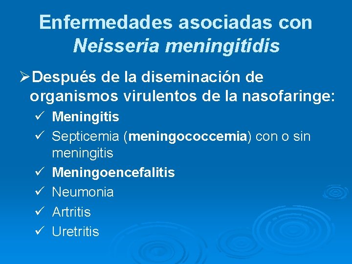 Enfermedades asociadas con Neisseria meningitidis ØDespués de la diseminación de organismos virulentos de la