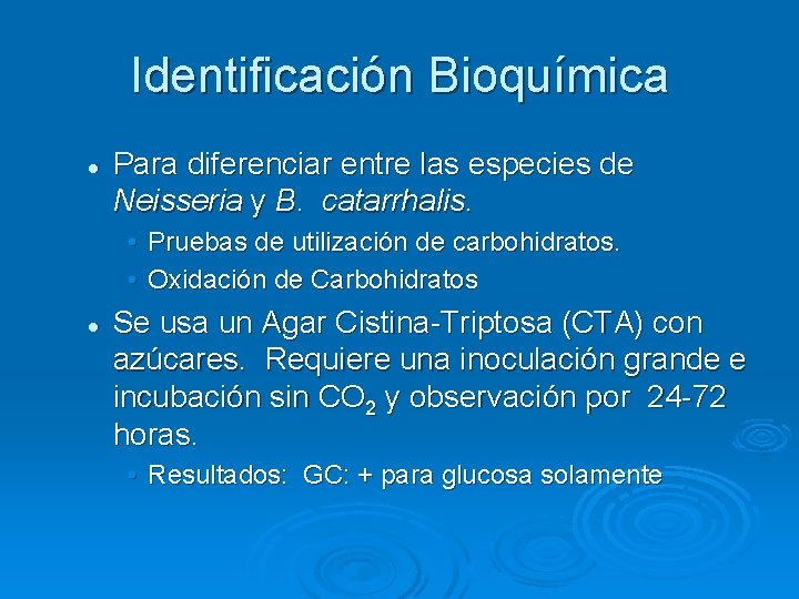 Identificación Bioquímica l Para diferenciar entre las especies de Neisseria y B. catarrhalis. •