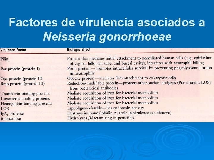 Factores de virulencia asociados a Neisseria gonorrhoeae 