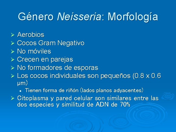 Género Neisseria: Morfología Ø Ø Ø Aerobios Cocos Gram Negativo No móviles Crecen en