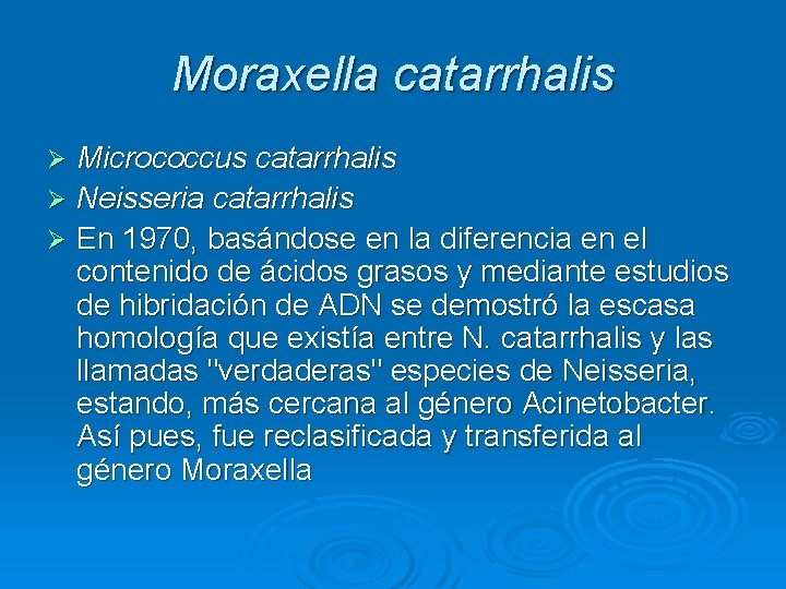 Moraxella catarrhalis Micrococcus catarrhalis Ø Neisseria catarrhalis Ø En 1970, basándose en la diferencia