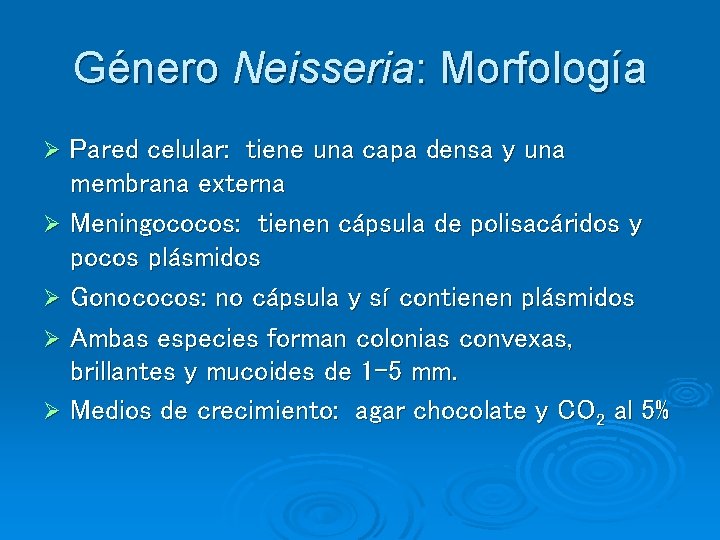 Género Neisseria: Morfología Pared celular: tiene una capa densa y una membrana externa Ø