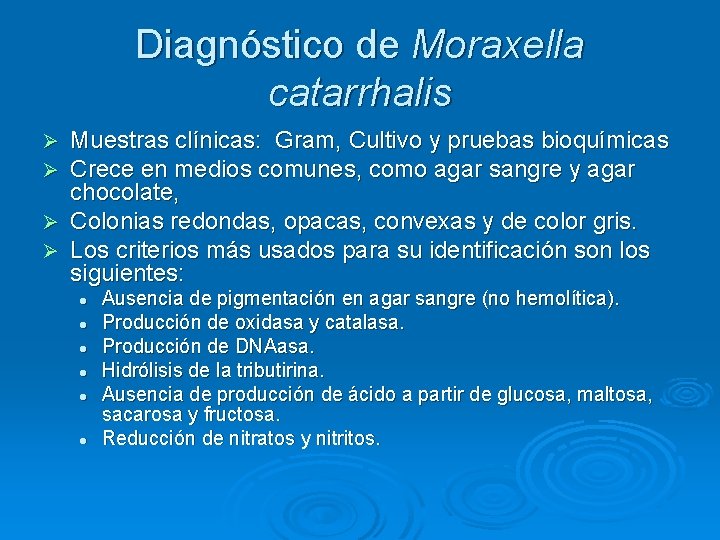 Diagnóstico de Moraxella catarrhalis Muestras clínicas: Gram, Cultivo y pruebas bioquímicas Crece en medios
