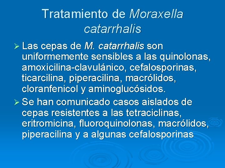 Tratamiento de Moraxella catarrhalis Ø Las cepas de M. catarrhalis son uniformemente sensibles a