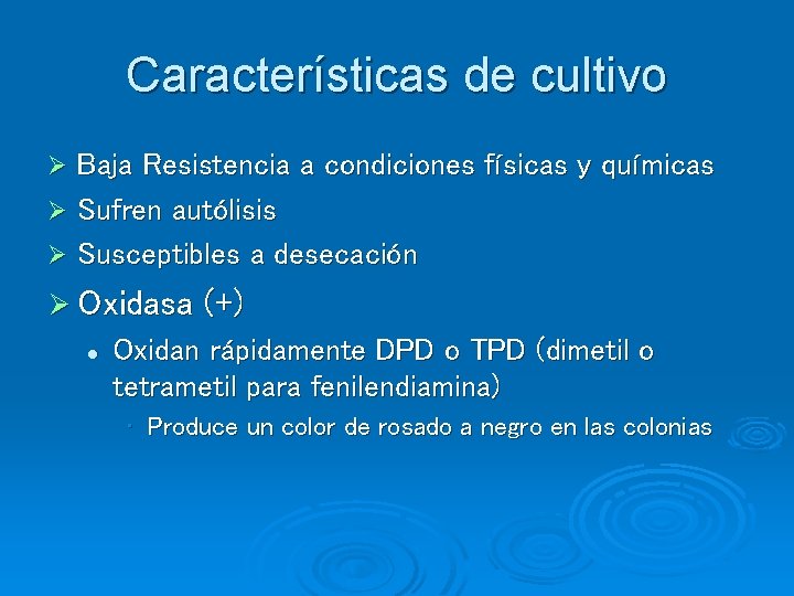 Características de cultivo Baja Resistencia a condiciones físicas y químicas Ø Sufren autólisis Ø