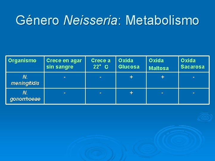Género Neisseria: Metabolismo Organismo Crece en agar sin sangre Crece a 22°C Oxida Glucosa