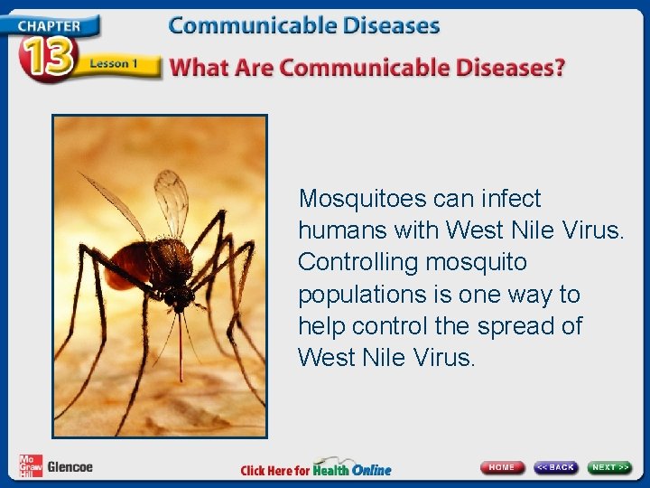 Mosquitoes can infect humans with West Nile Virus. Controlling mosquito populations is one way