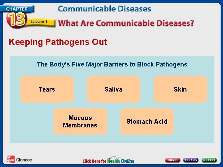 Keeping Pathogens Out The Body’s Five Major Barriers to Block Pathogens Tears Saliva Mucous