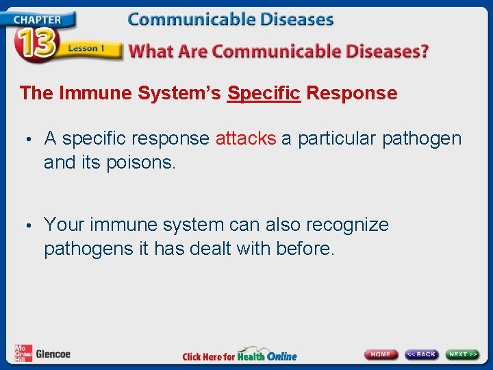 The Immune System’s Specific Response • A specific response attacks a particular pathogen and