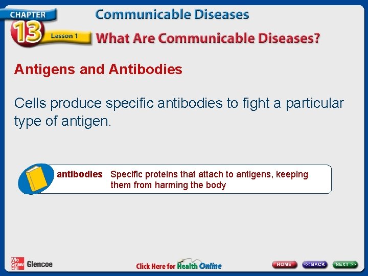 Antigens and Antibodies Cells produce specific antibodies to fight a particular type of antigen.