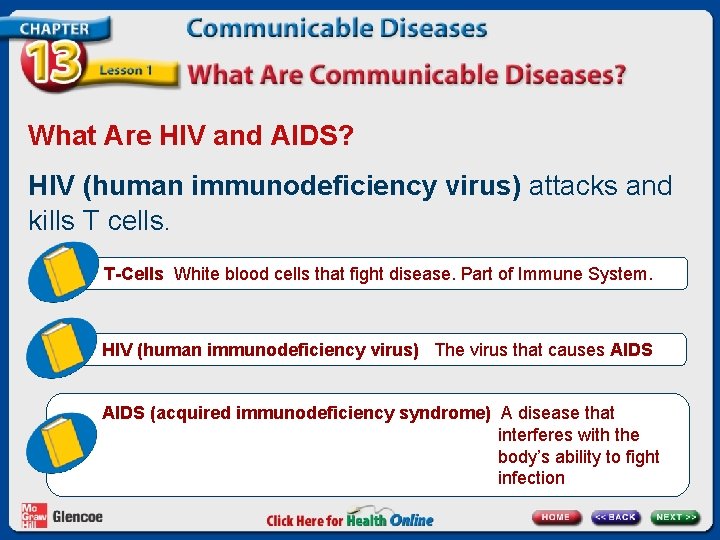 What Are HIV and AIDS? HIV (human immunodeficiency virus) attacks and kills T cells.