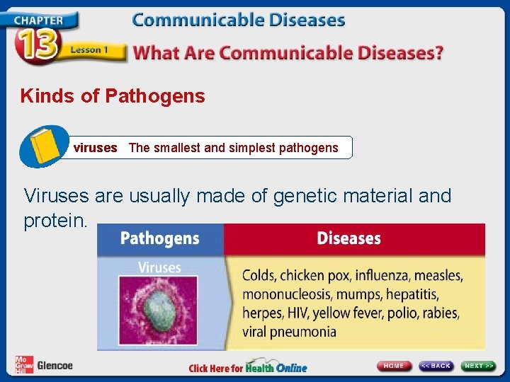 Kinds of Pathogens viruses The smallest and simplest pathogens Viruses are usually made of