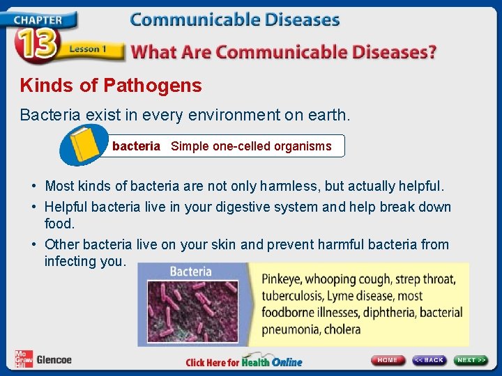 Kinds of Pathogens Bacteria exist in every environment on earth. bacteria Simple one-celled organisms