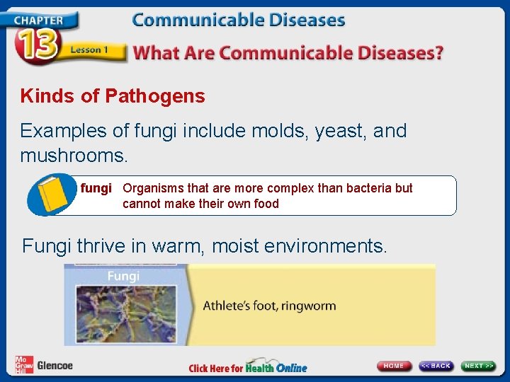 Kinds of Pathogens Examples of fungi include molds, yeast, and mushrooms. fungi Organisms that