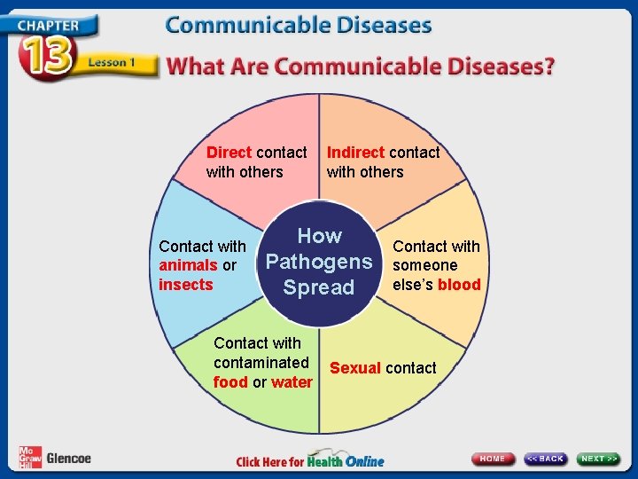 Direct contact with others Contact with animals or insects Indirect contact with others How