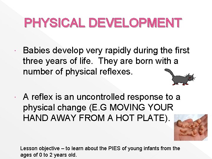 PHYSICAL DEVELOPMENT Babies develop very rapidly during the first three years of life. They