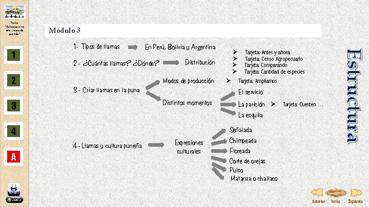 Equipo “Elaboremos entre todos una escuela para todos” 2 1 - Tipos de llamas