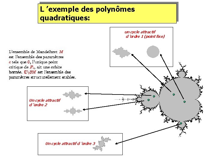 L ’exemple des polynômes quadratiques: un cycle attractif d ’ordre 1 (point fixe) Un