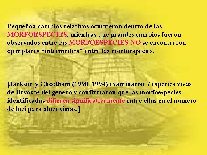Pequeñoa cambios relativos ocurrieron dentro de las MORFOESPECIES, mientras que grandes cambios fueron observados